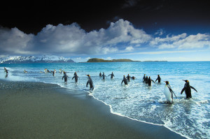 Wildlife and Landscape Masterclass: Art Wolfe in Oz